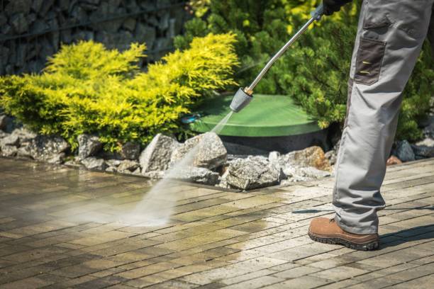 Animal Enclosure Cleaning in Old Bethpage, NY